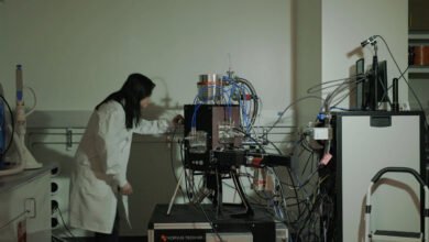 Ilmu Lila menggunakan AI untuk Turbocharge Scientific Discovery